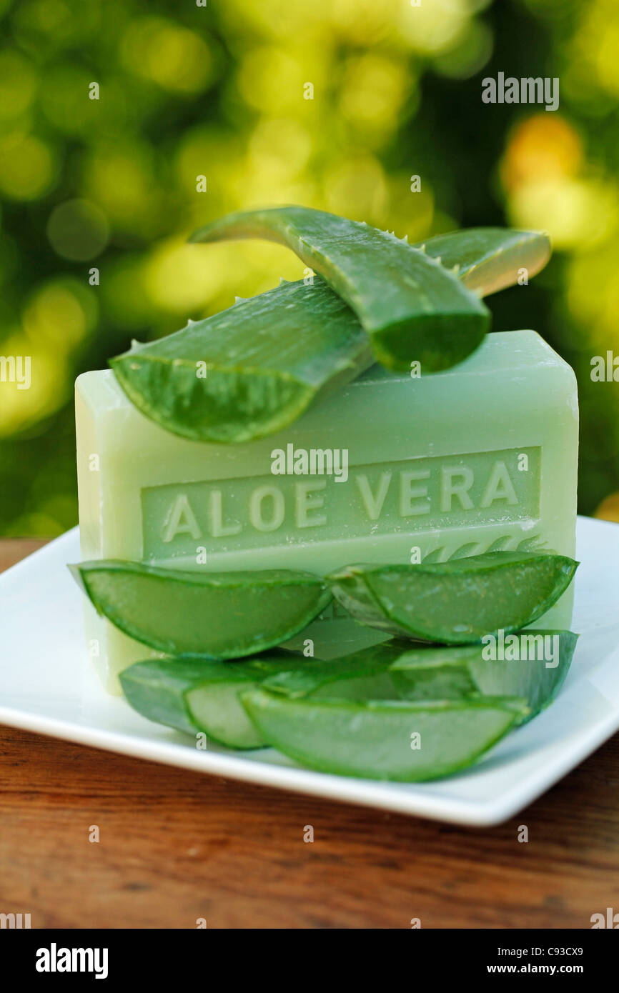 Masterizzazione di sapone vegetale, aloe vera. Foto Stock