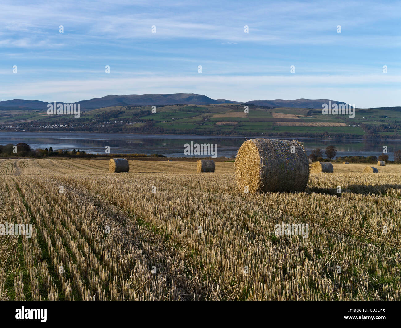 dh ben Wyvis NERO ISLE ROSS CROMARTY rotonde paglia fieno balle hvest campo autunno stoppie regno unito scozia Bale Harvest nessuno fattoria terreno in terreno agricolo scozzese Foto Stock