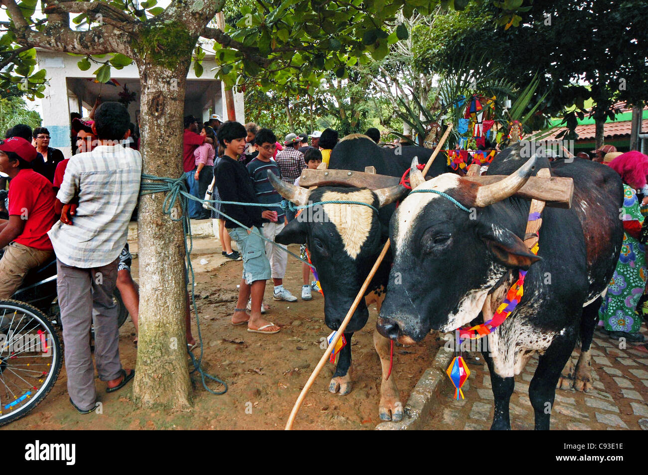 Tradizionale festa campestre di São João in Correntes Pernambuco del Brasile Foto Stock