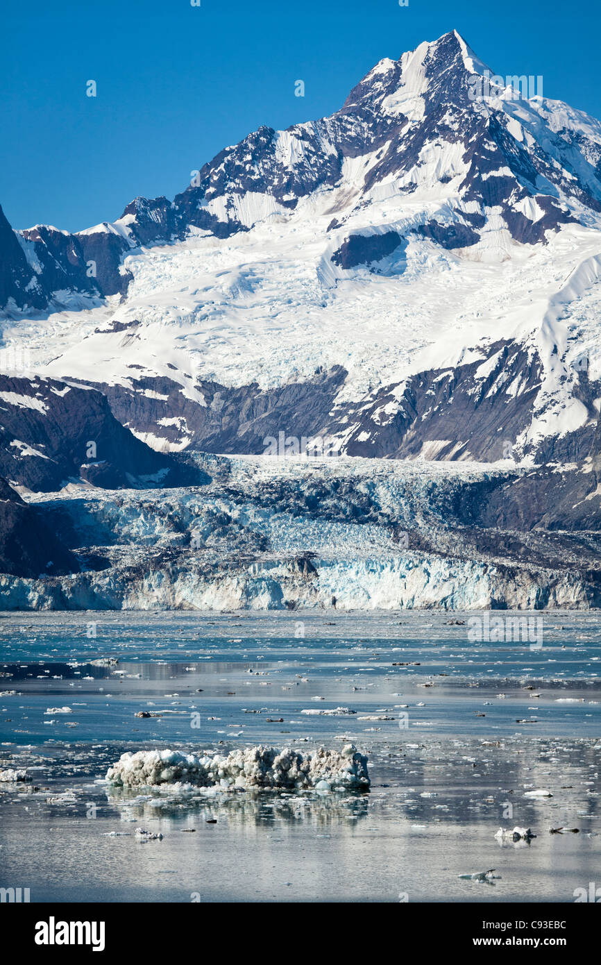 Johns Hopkins ghiacciaio Glacier Bay,Alaska Foto Stock