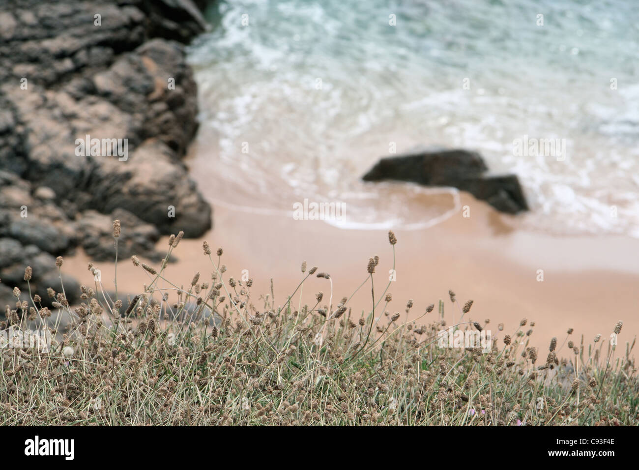 Alta angolazione di una spiaggia con profondità di campo ridotta. rocce, mare Foto Stock