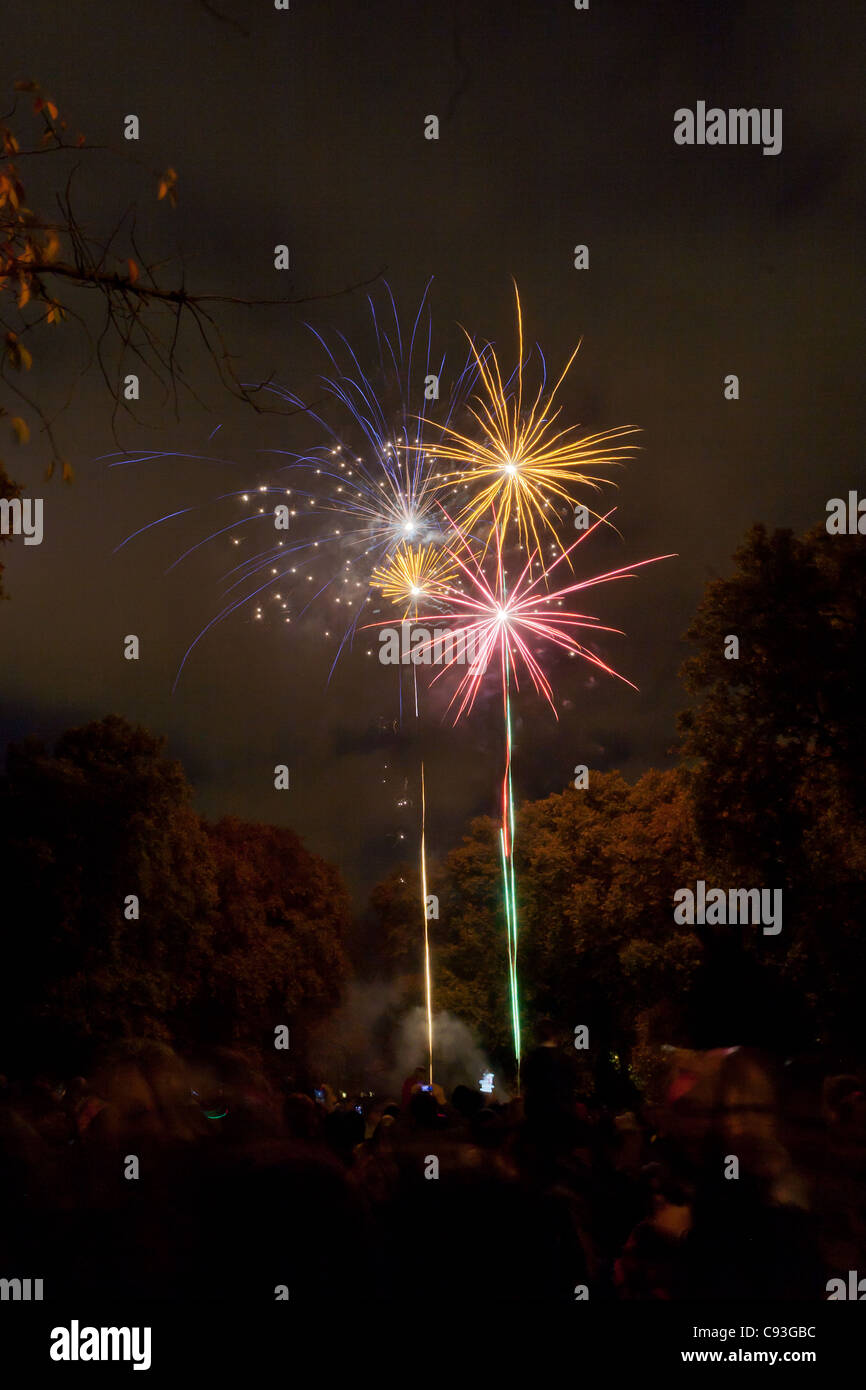 La folla a guardare i fuochi d'artificio il 4 novembre 2011. Campi Corams, Bloomsbury, Camden, London, England Foto Stock