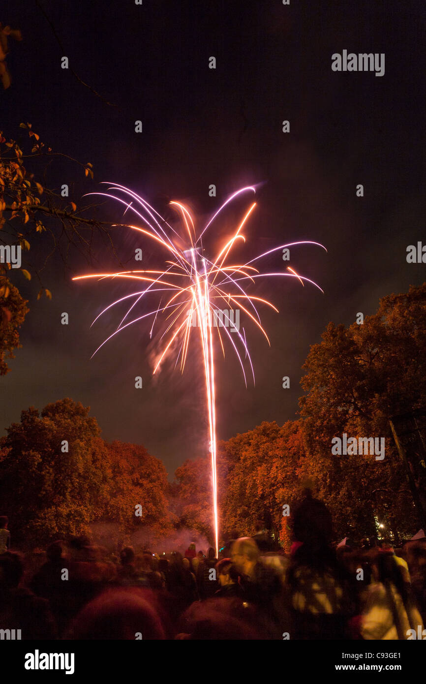 La folla a guardare i fuochi d'artificio il 4 novembre 2011. Campi Corams, Bloomsbury, Camden, London, England Foto Stock