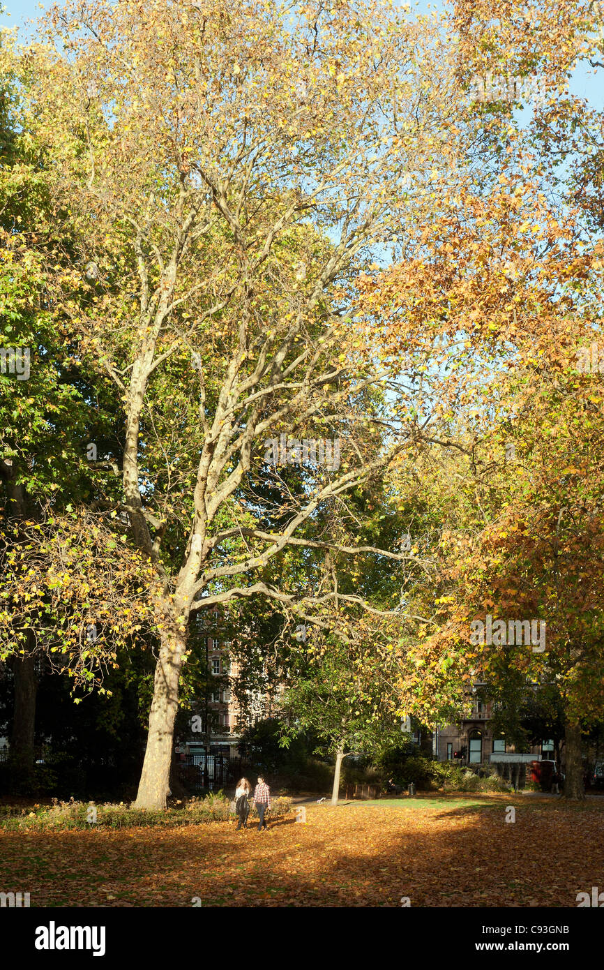 Russell Square con alberi d'autunno. Russell Square, Bloomsbury, Camden, London, England, Regno Unito Foto Stock