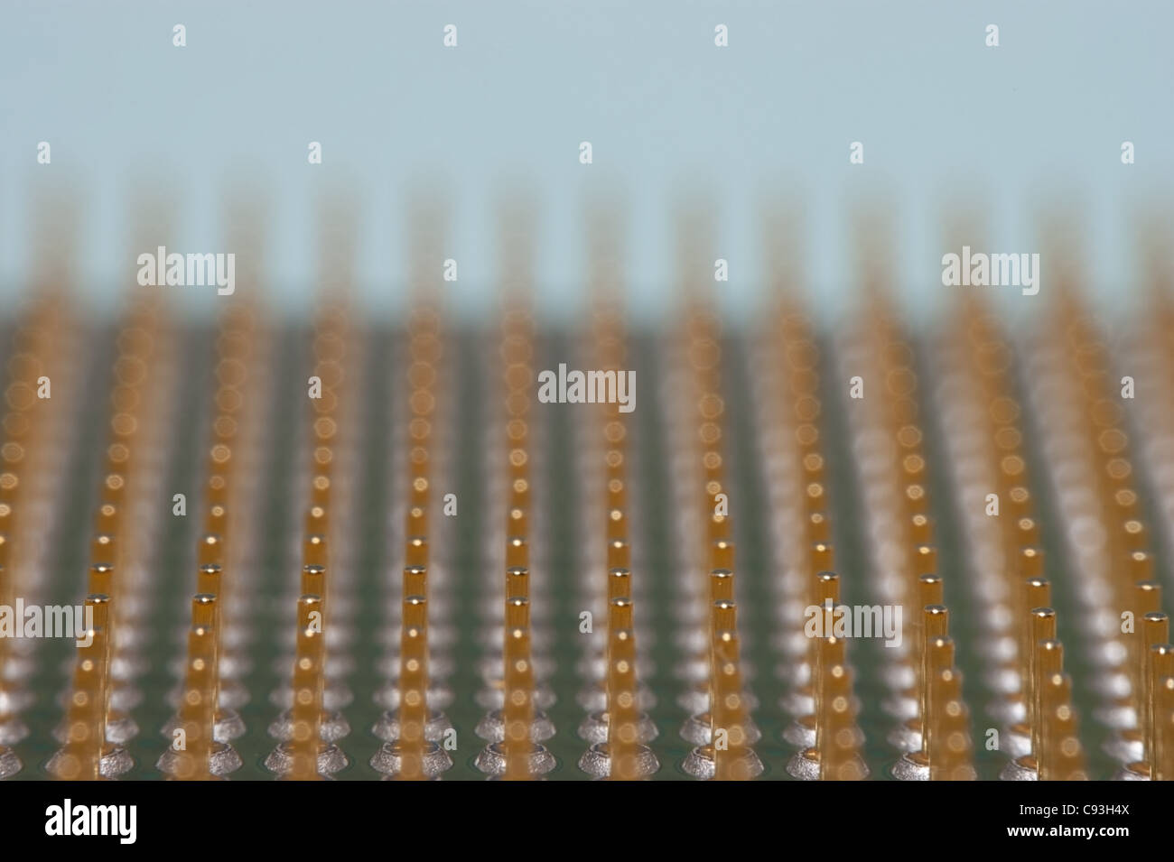 Macro di perni sul lato inferiore di una cpu Foto Stock