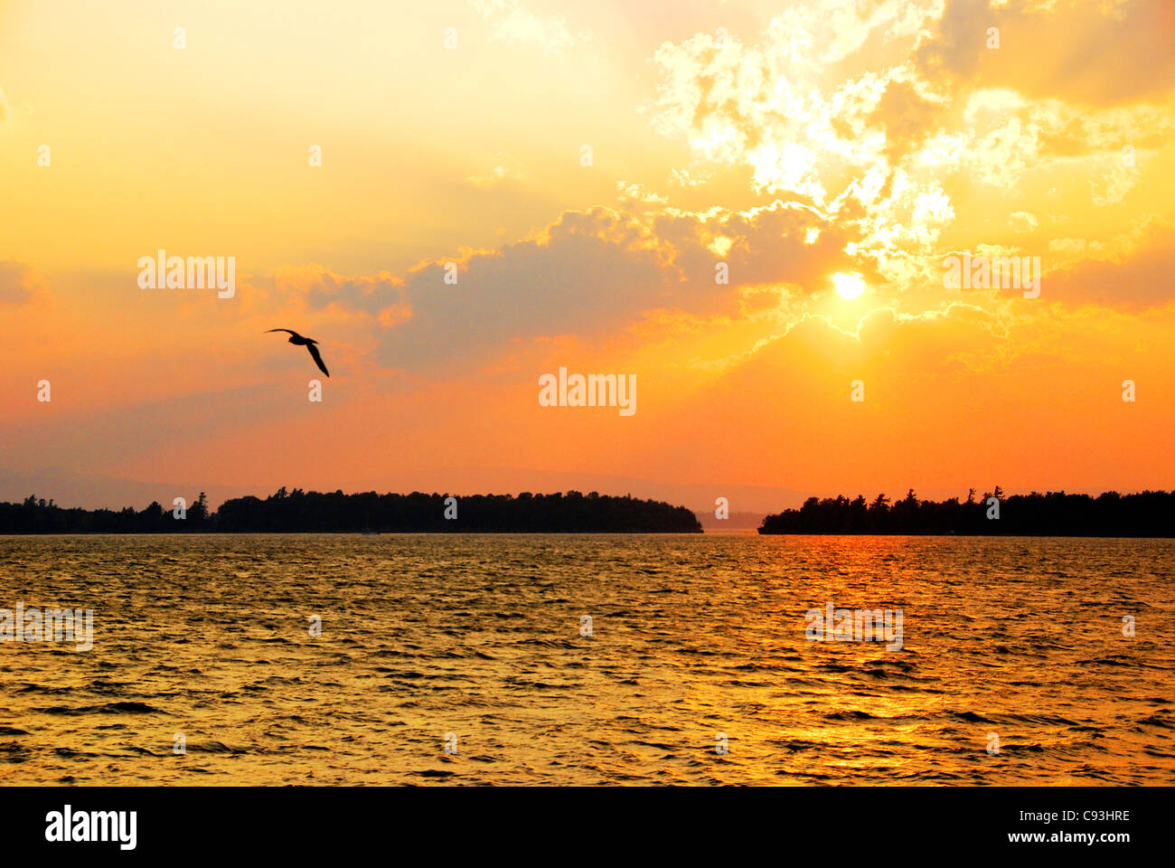 Lake Champlain Isole al tramonto con seagull battenti in prossimità di acqua, Vermont USA Foto Stock