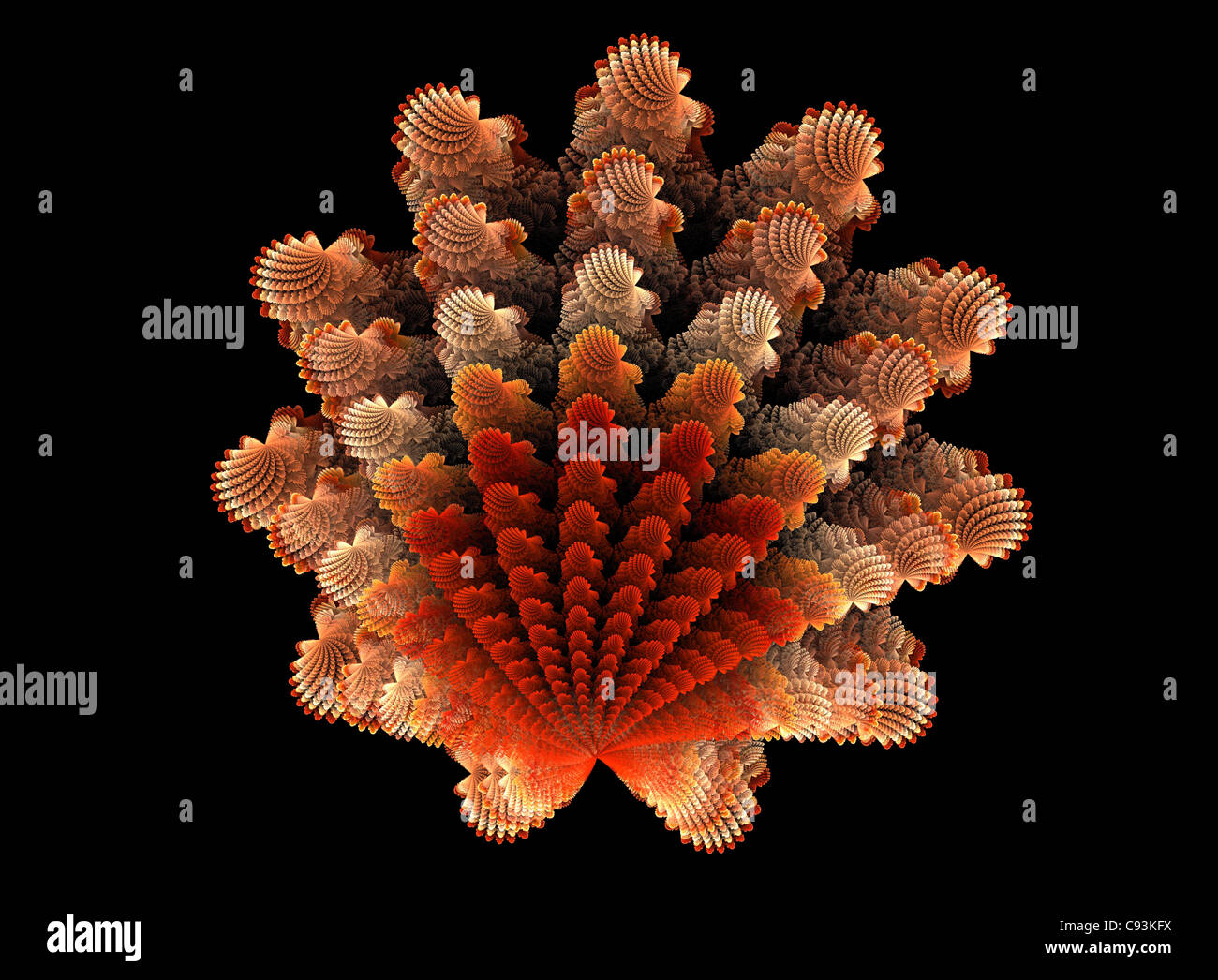 Un frattale di fiamma di una dentellatura Shell creato utilizzando le apofisi programma per computer Foto Stock
