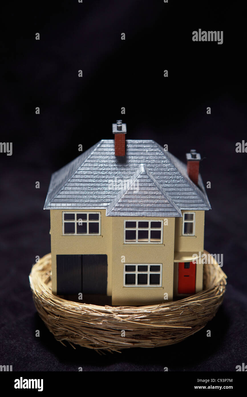 Modello di casa in un cestello Foto Stock