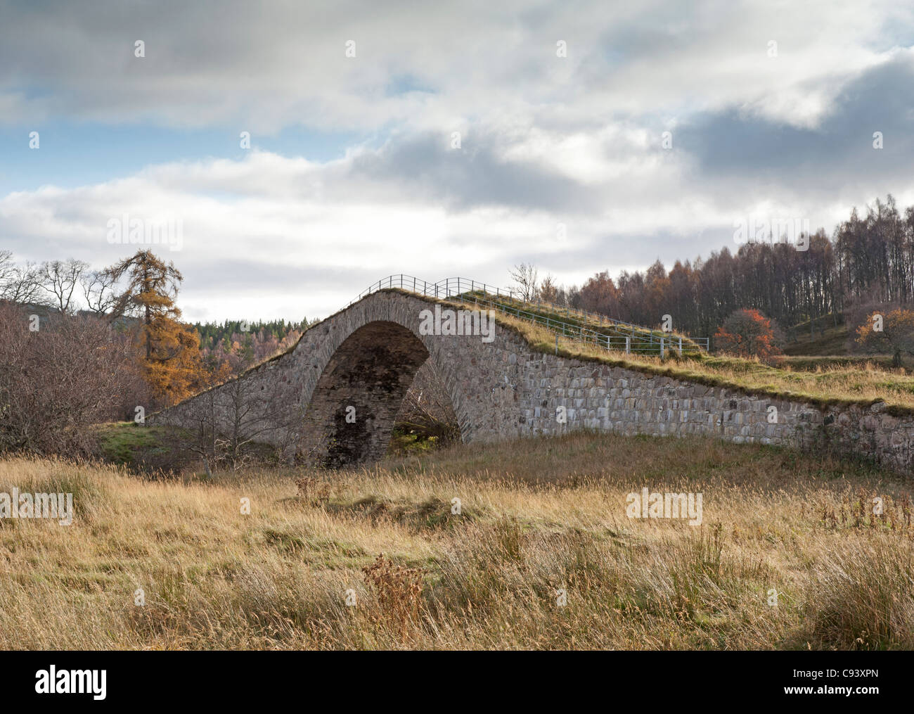 Sluggan ponte sopra il fiume Dulnain sul generale George Wade's strada militare vicino a Carrbridge Strathspey. SCO 7724 Foto Stock