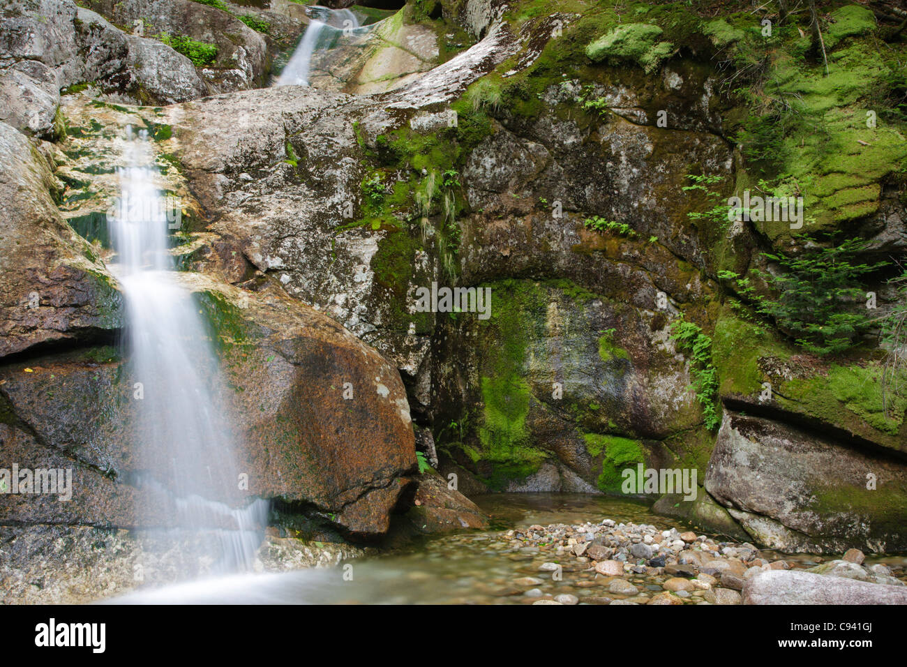 Lafayette Brook Scenic Area - White Mountain National Forest del New Hampshire Foto Stock