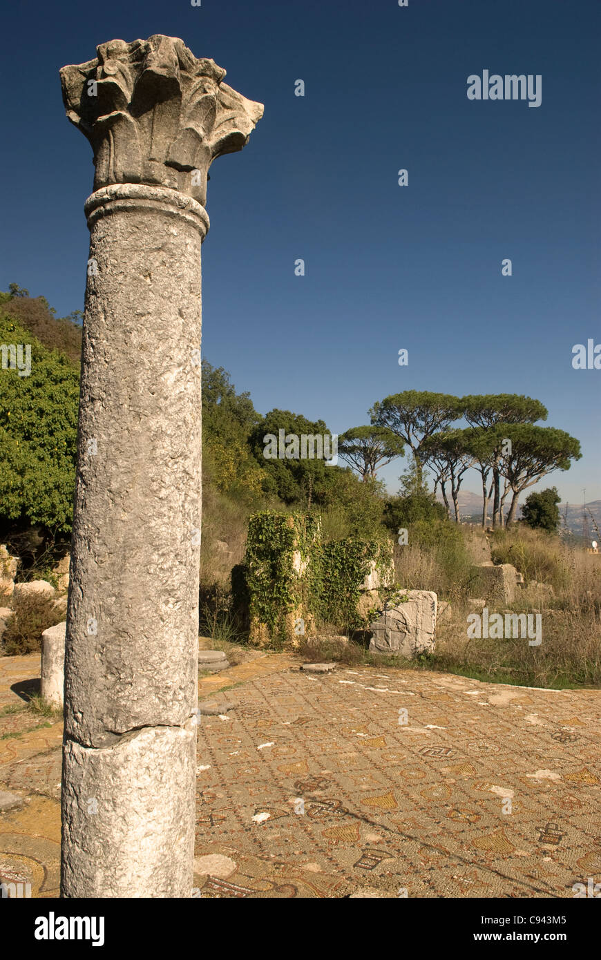 Mosaici bizantini e rimane, Beit Mery, Metn, Monte Libano, Libano. Foto Stock