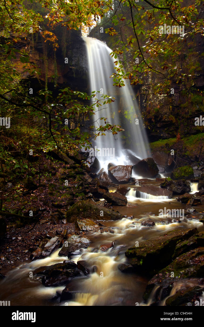 Melincourt cascata, Resolven, Neath Valley, il Galles. Foto Stock