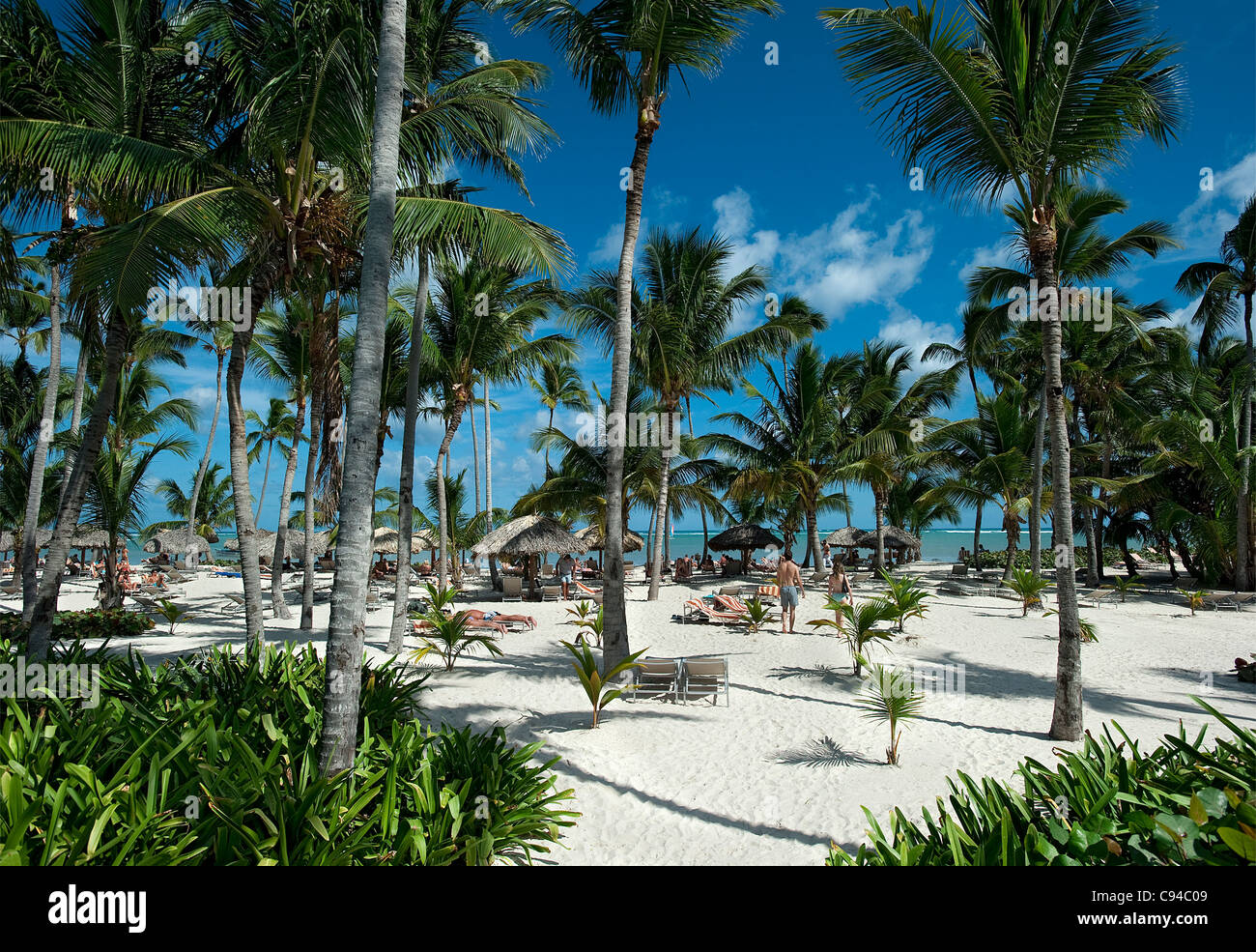 Bavaro Beach al Catalonia Royal Bavaro Hotel Punta Cana Repubblica Dominicana Foto Stock
