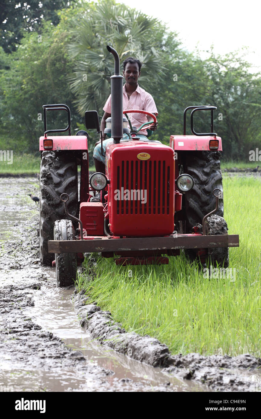 Preparazione del trattore una risaia Tamil Nadu India Foto Stock