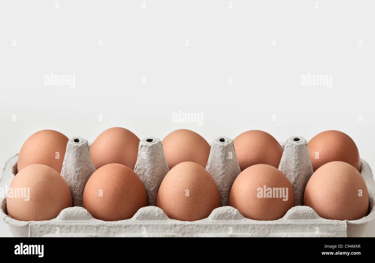 Close up dettaglio di una scatola di cartone di dieci marrone uova di pollo su uno sfondo grigio chiaro Foto Stock