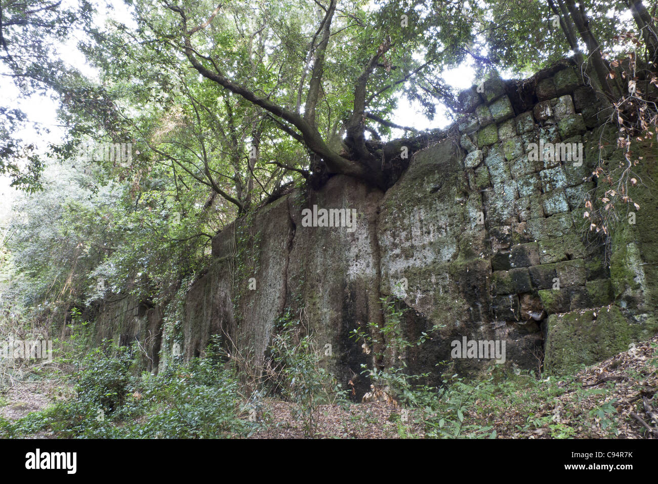 Via degli inferi (Via degli Inferi) nella necropoli etrusca della Banditaccia, Cerveteri, Italia Foto Stock