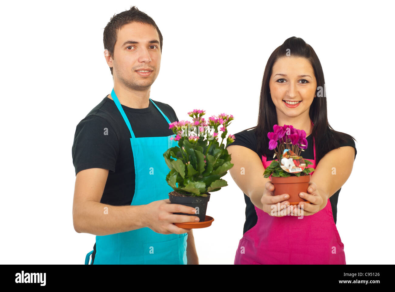 Due fioristi tenendo i fiori in vaso in vendita isolati su sfondo bianco Foto Stock