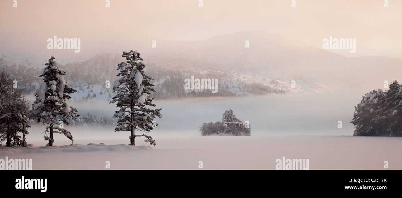 Loch un Eilein Cairngorms Scozia sotto la neve al tramonto Foto Stock