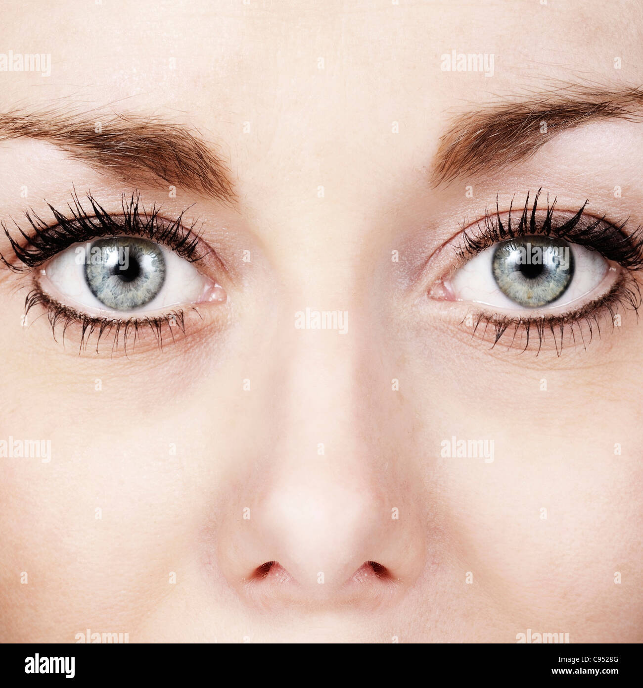 Close up dei womans eye shot in studio Foto Stock