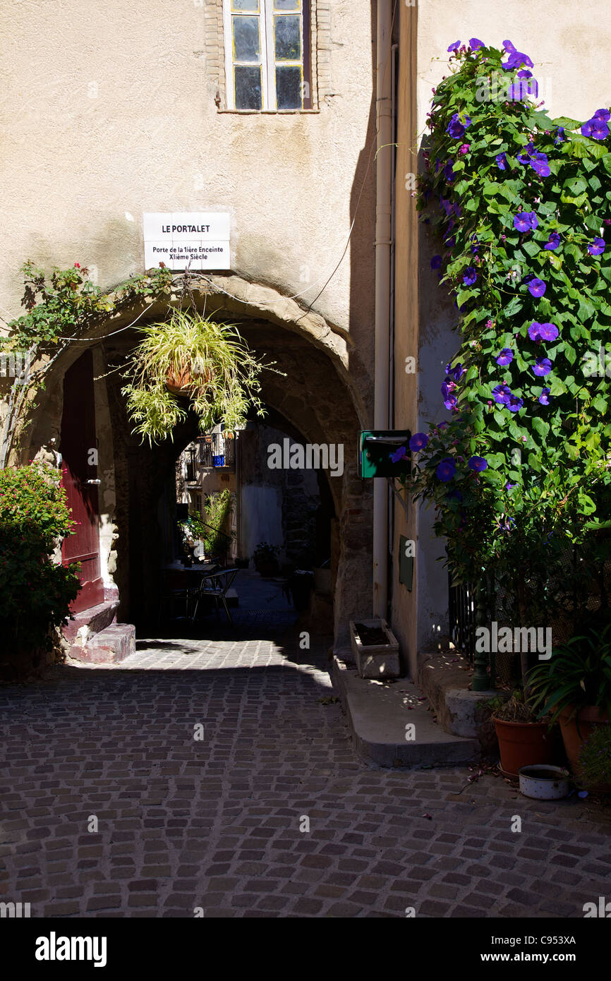 Stradine, Roquebrune-sur-Argens, Var, Provenza Costa Azzurra, Francia Foto Stock