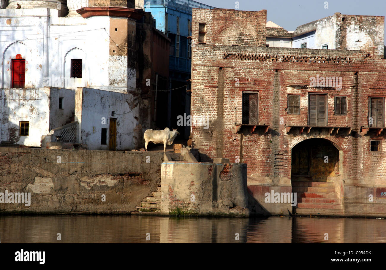 Riverside lungo il fiume Yamuna a Mathura Foto Stock