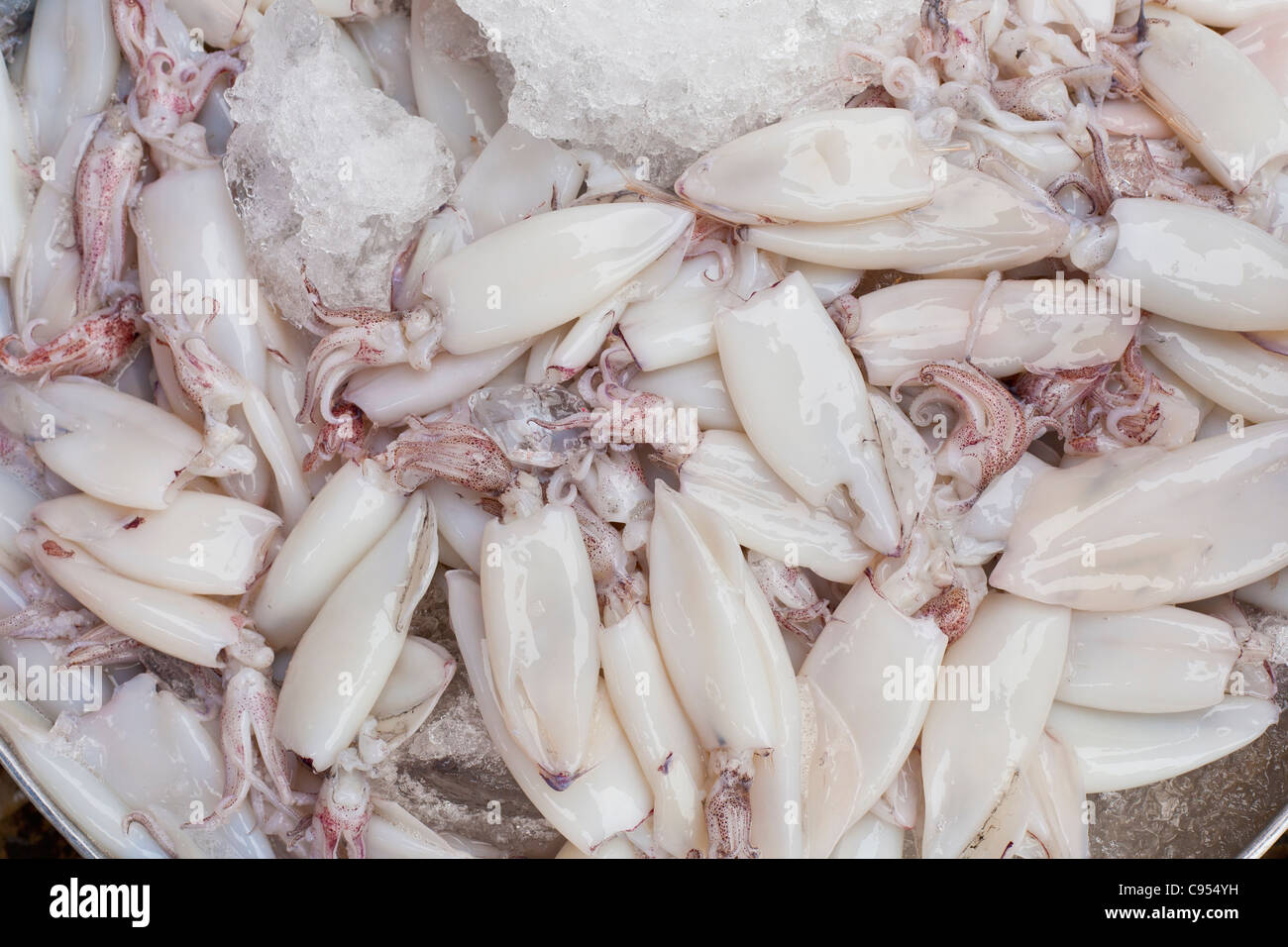 Calamari freschi sul display a un mercato in Thailandia Foto Stock