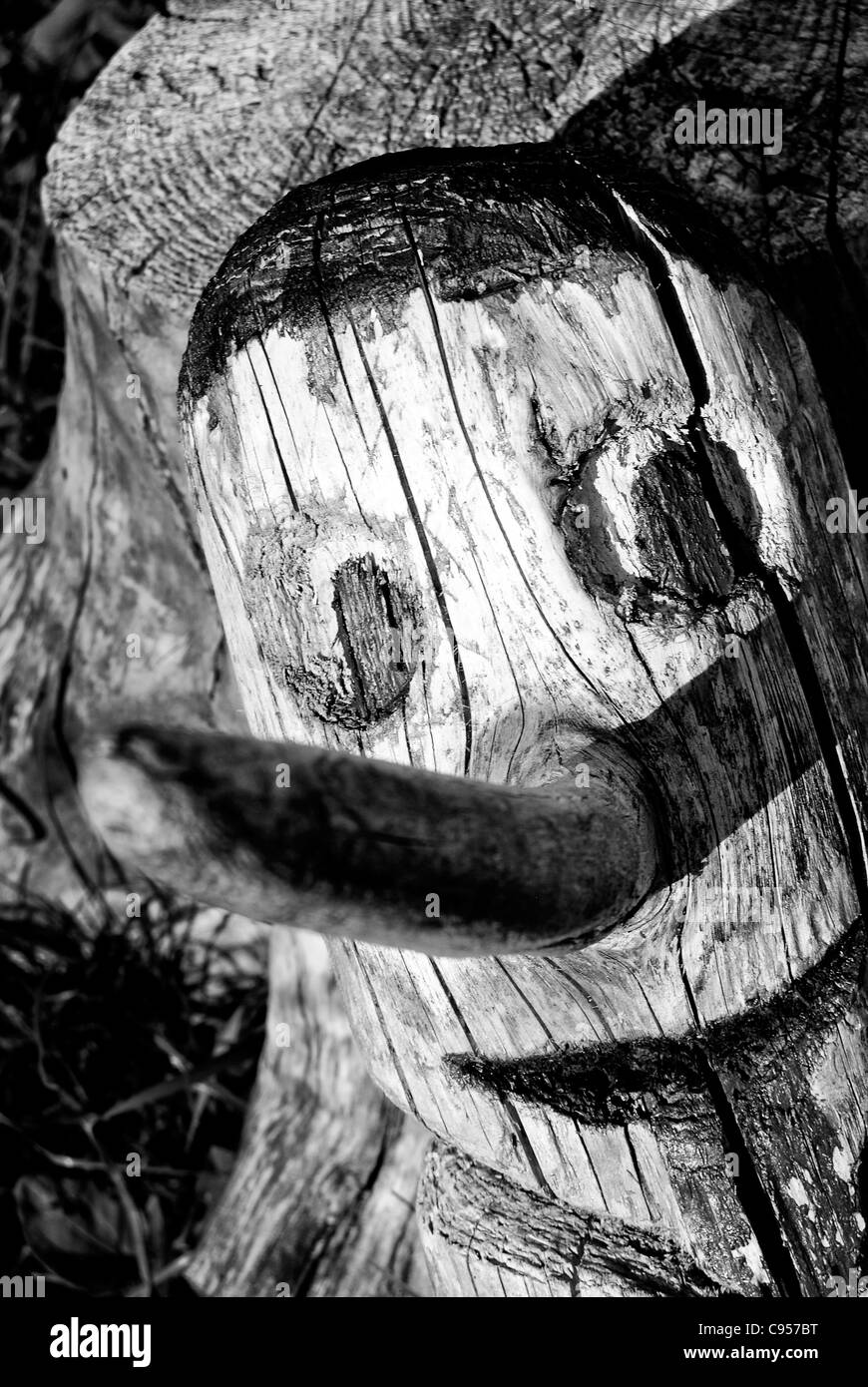 pinocchio legno Foto Stock