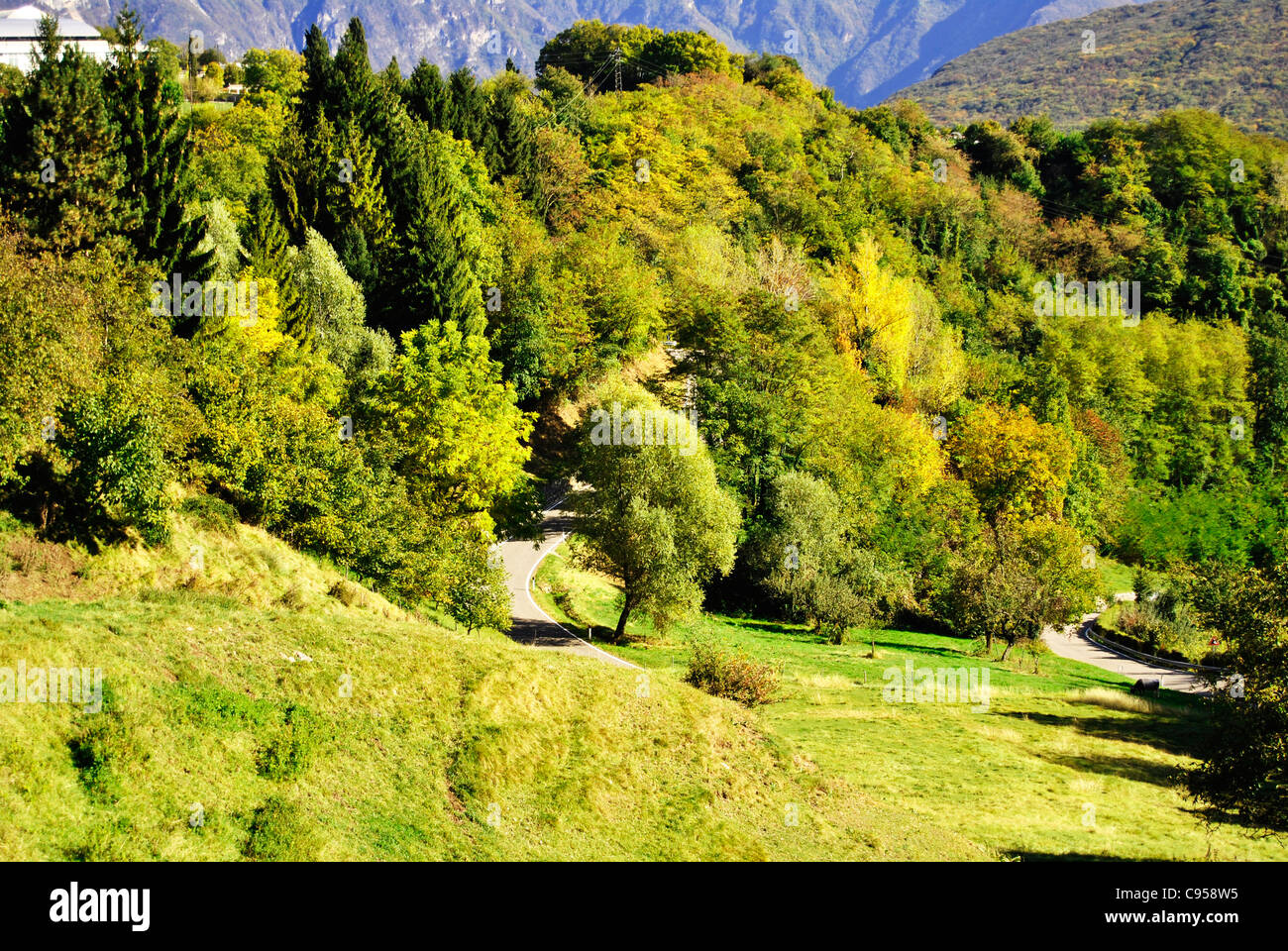 Paesaggio di campagna in Italia. Trentino Alto Adige Foto Stock