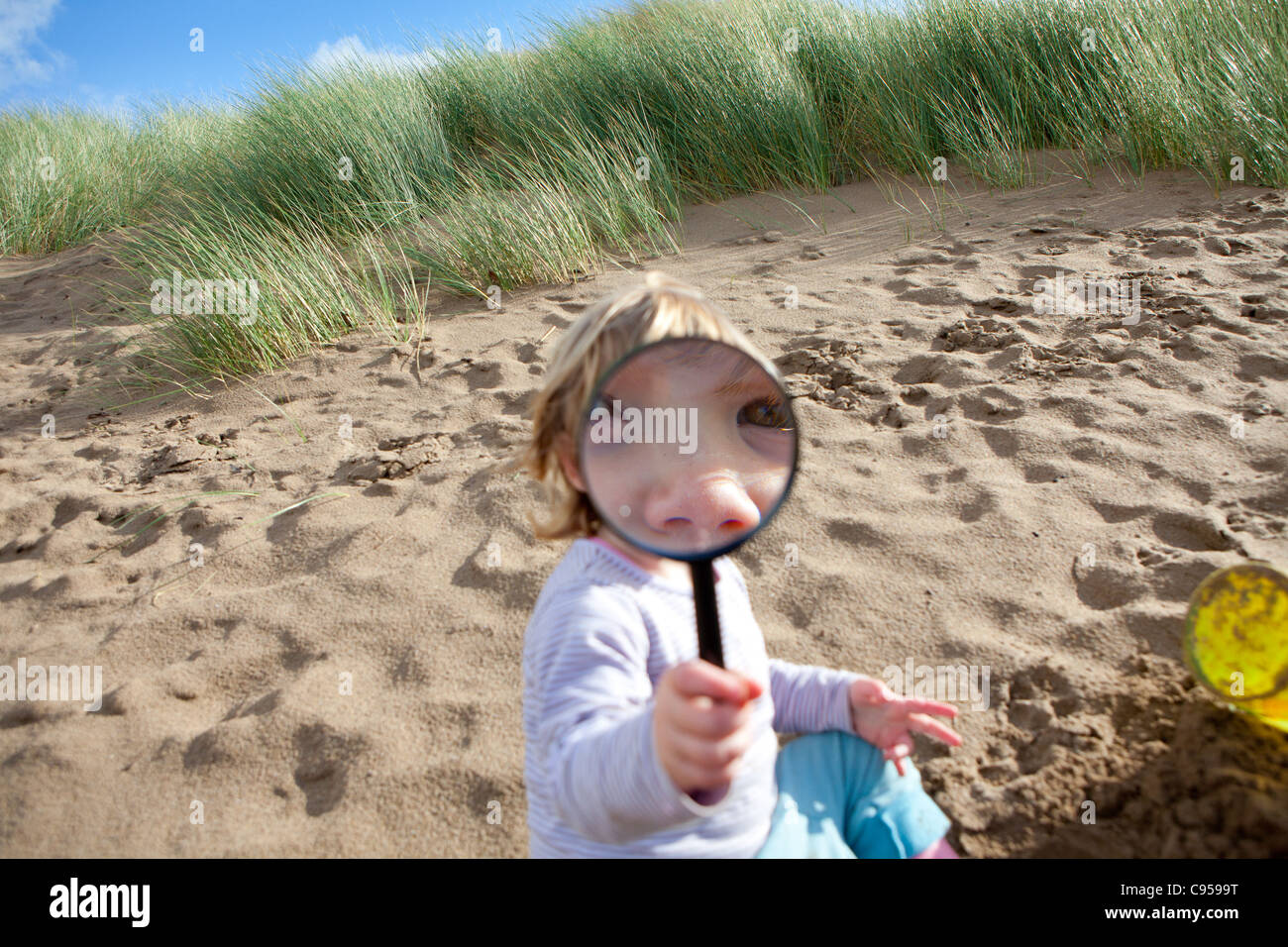 Spiaggia per bambini caccia al tesoro. Alla ricerca di conchiglie e tesori di spiaggia a Instow, Devon Foto Stock