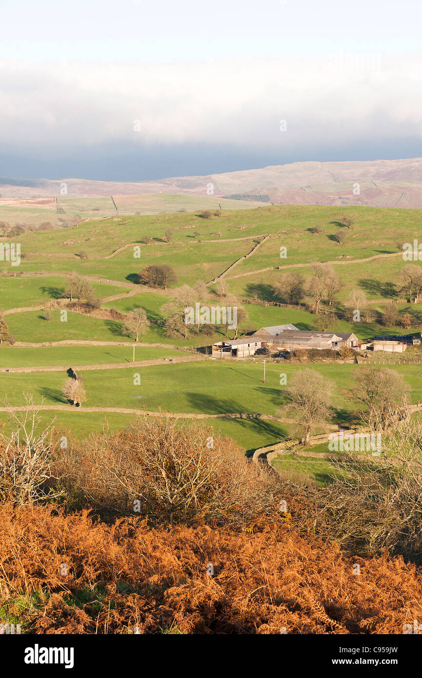 Campagna aperta e terreni agricoli verso Staveley dalla testa Orrest Windermere Parco Nazionale del Distretto dei Laghi Cumbria Inghilterra England Regno Unito Foto Stock