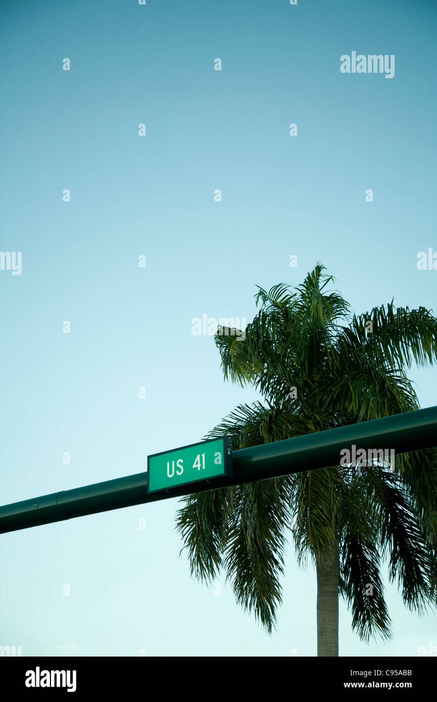 US 41, HIGHWAY 41 segno, Florida, Palm tree in background. Foto Stock