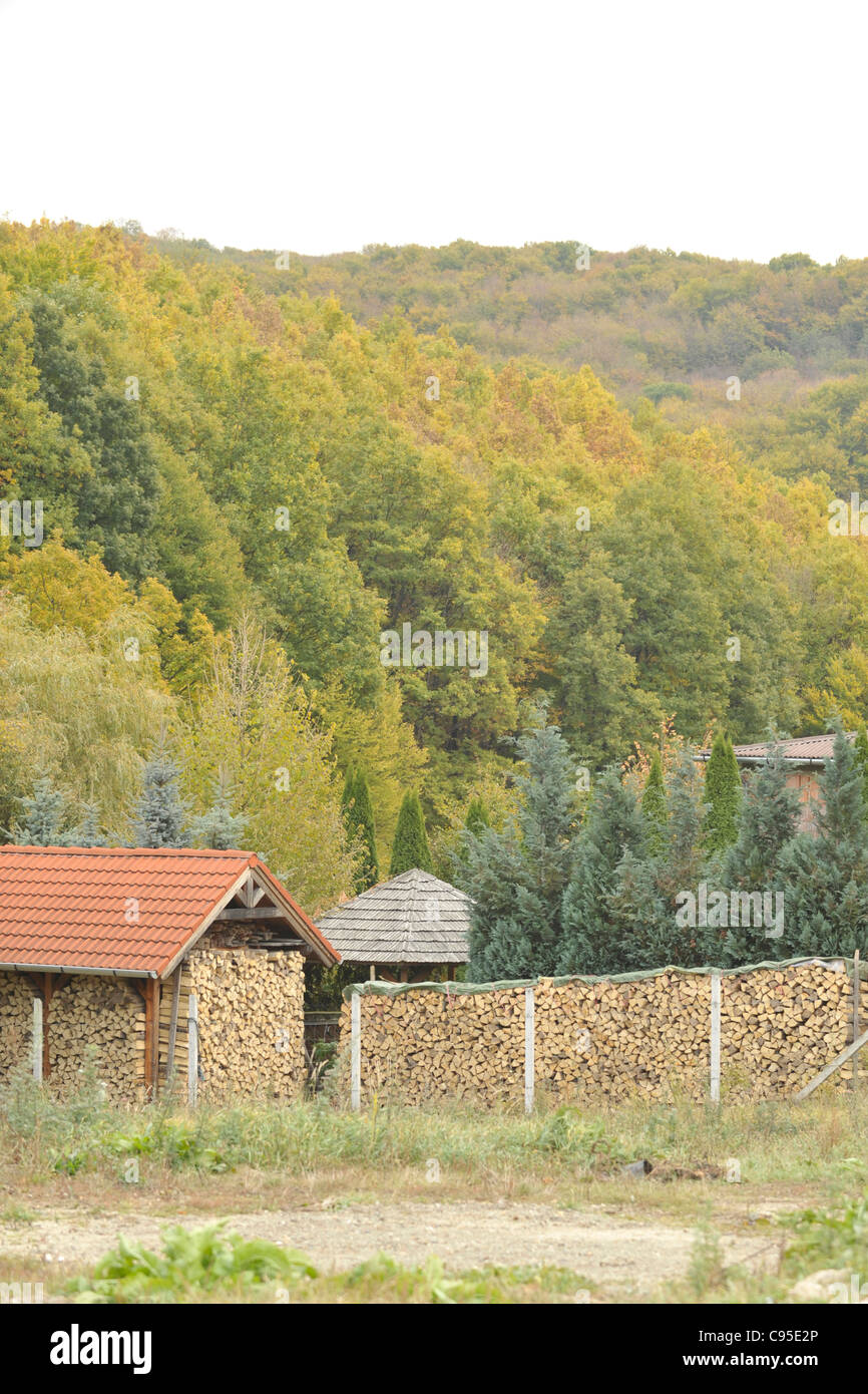 Cumulo di tronchi in montagna, Ungheria Foto Stock