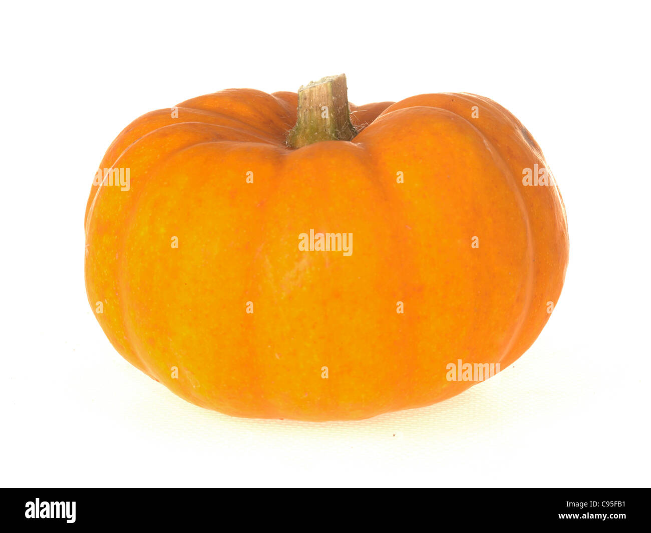 Fresche e mature Halloween grandi novità zucca contro uno sfondo bianco con spazio copia n. persone e un tracciato di ritaglio Foto Stock