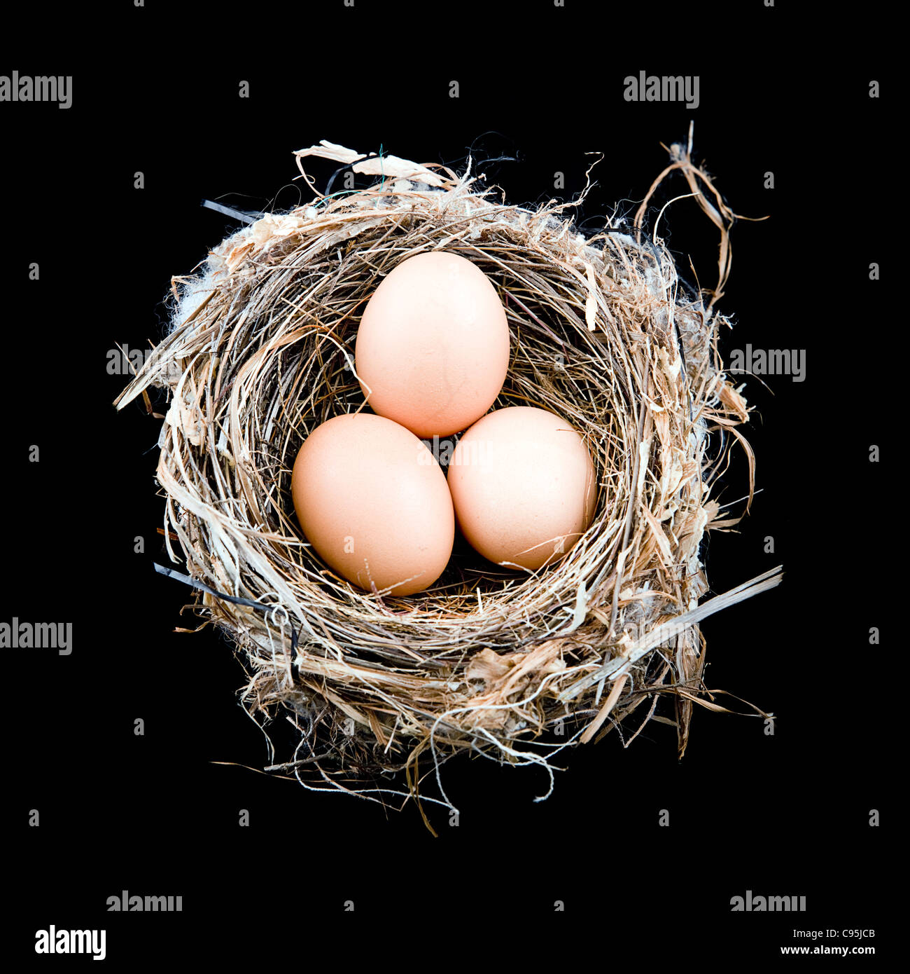 3 x le uova in un nido di uccelli Foto Stock