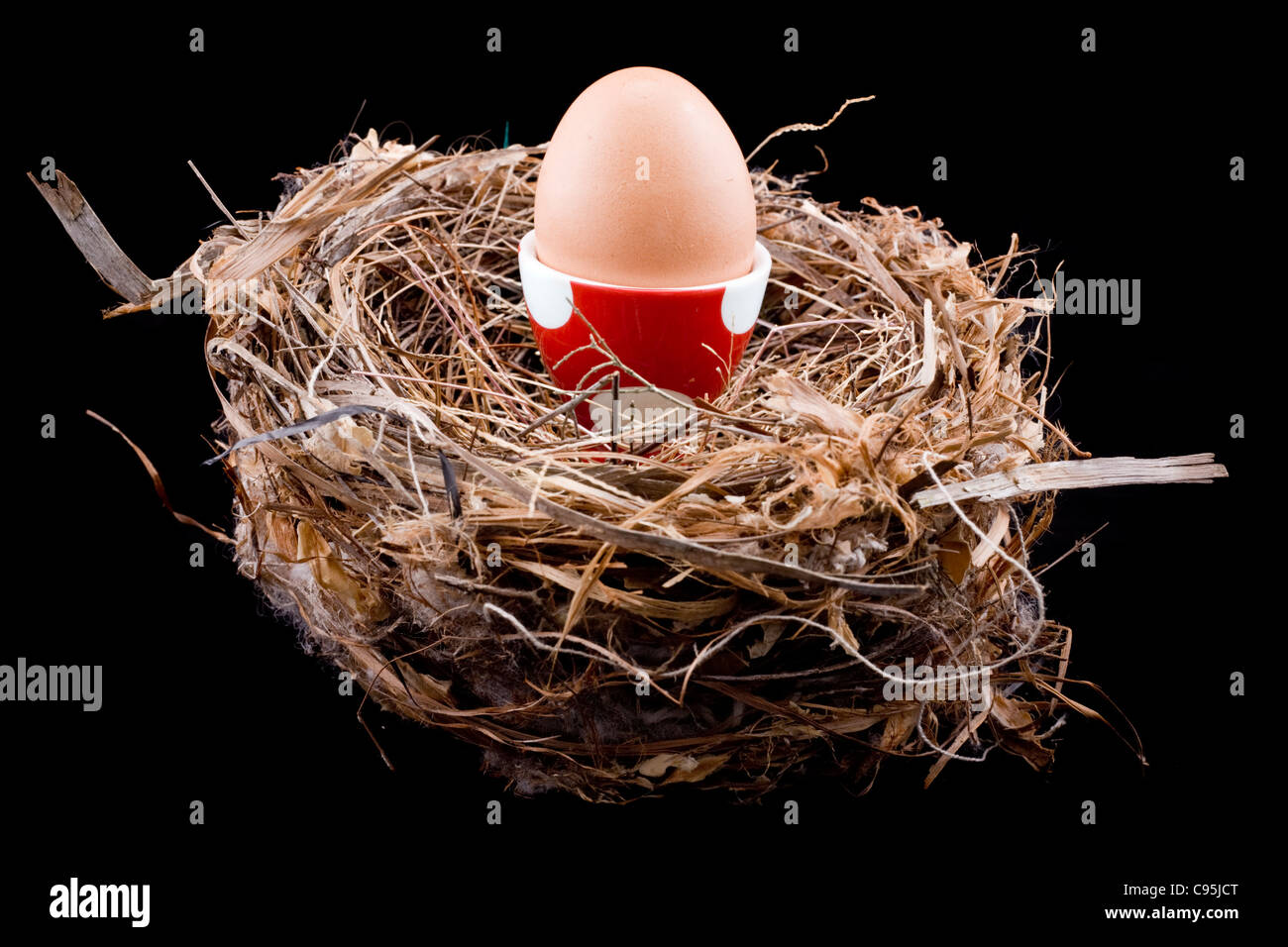 1 uovo in un rosso e bianco polka dot uovo cup seduti in un nido di uccelli Foto Stock