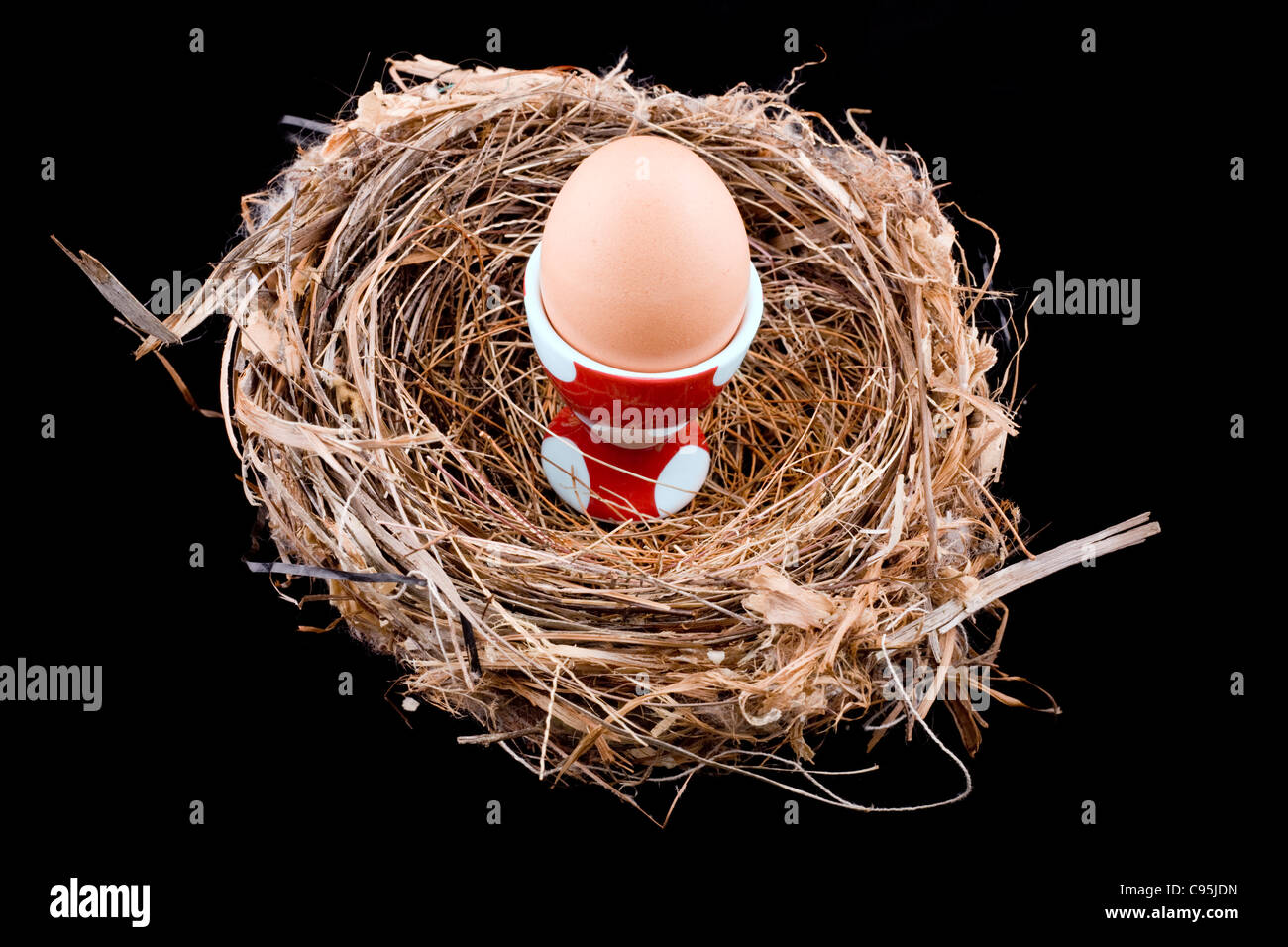 1 uovo in un rosso e bianco polka dot uovo cup seduti in un nido di uccelli Foto Stock