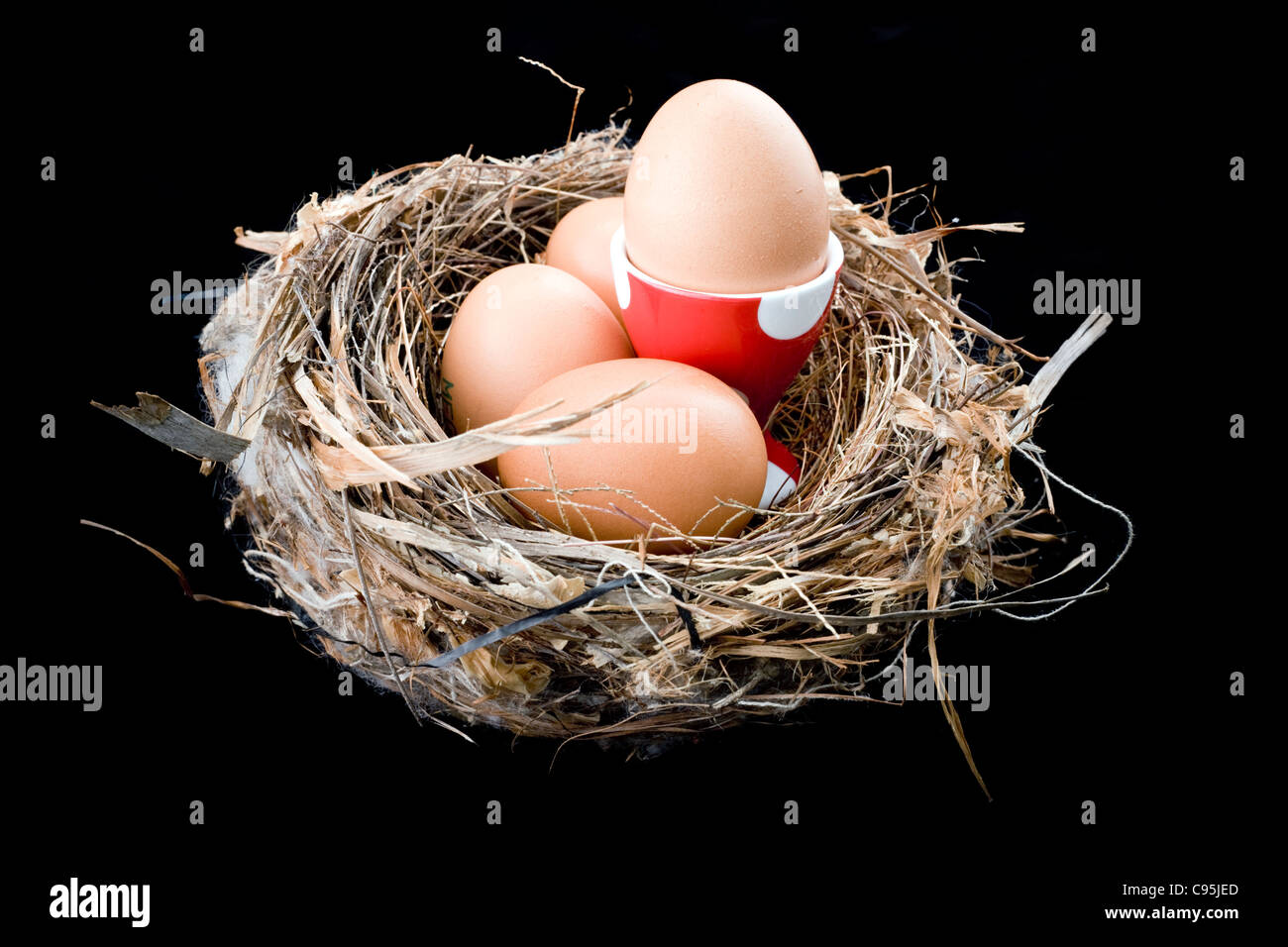 Le uova in un nido di uccelli 1 uovo in un rosso e bianco polka dot uovo cup Foto Stock
