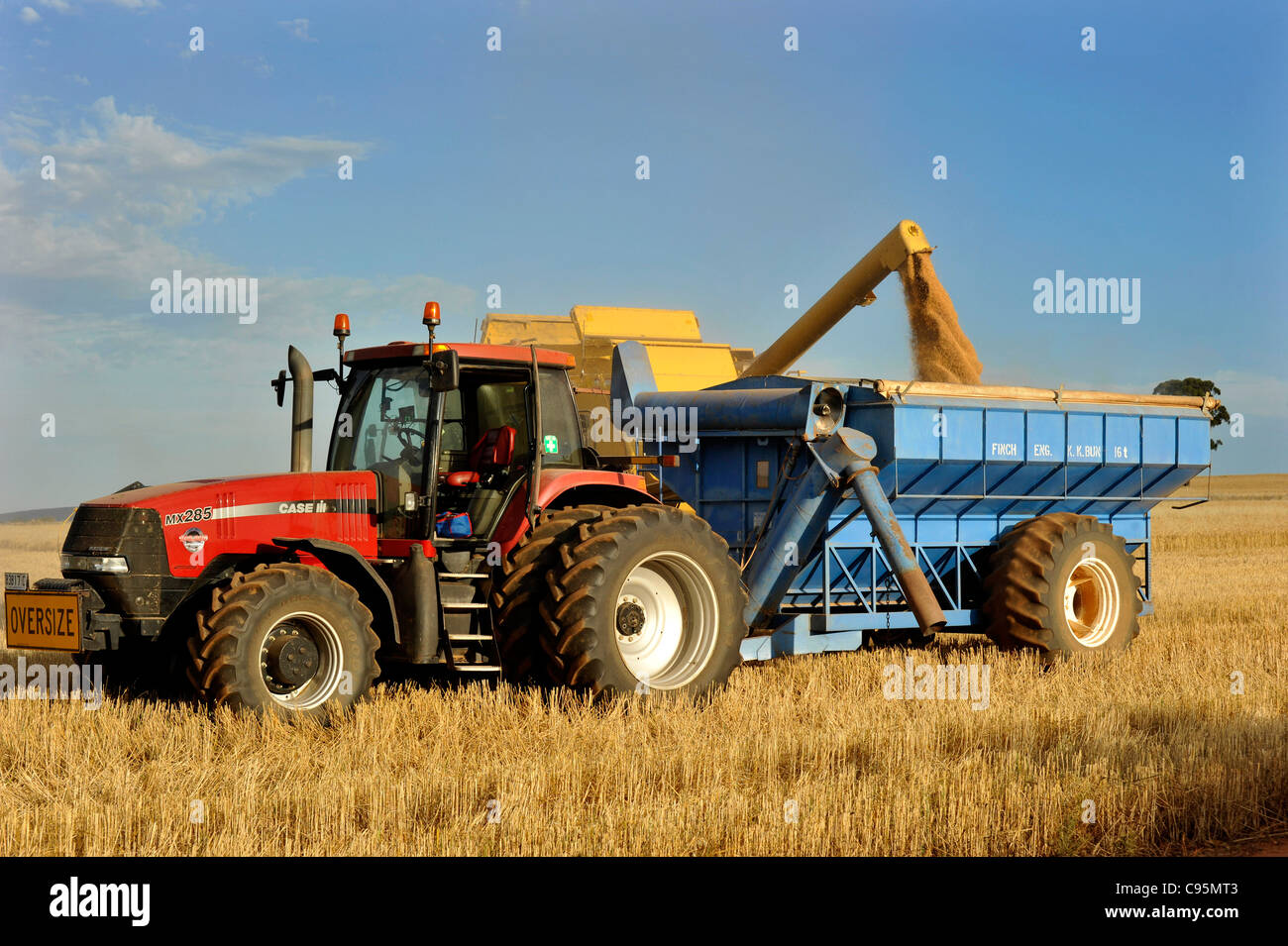 Un rimorchio di un trattore viene caricato con il grano da agricola intestazione nel NSW Australia Foto Stock