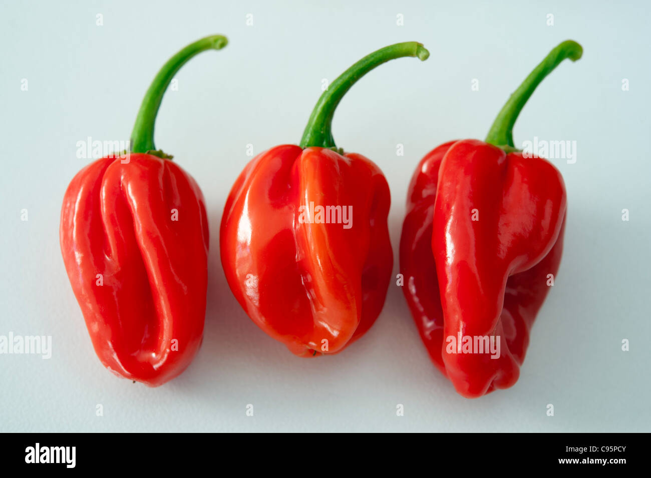 Il peperoncino su uno sfondo bianco. Scotch Bonnet tipo Foto Stock
