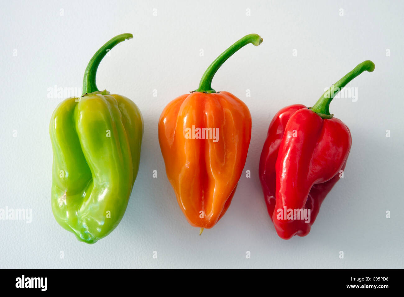 Il peperoncino su uno sfondo bianco. Scotch Bonnet tipo Foto Stock
