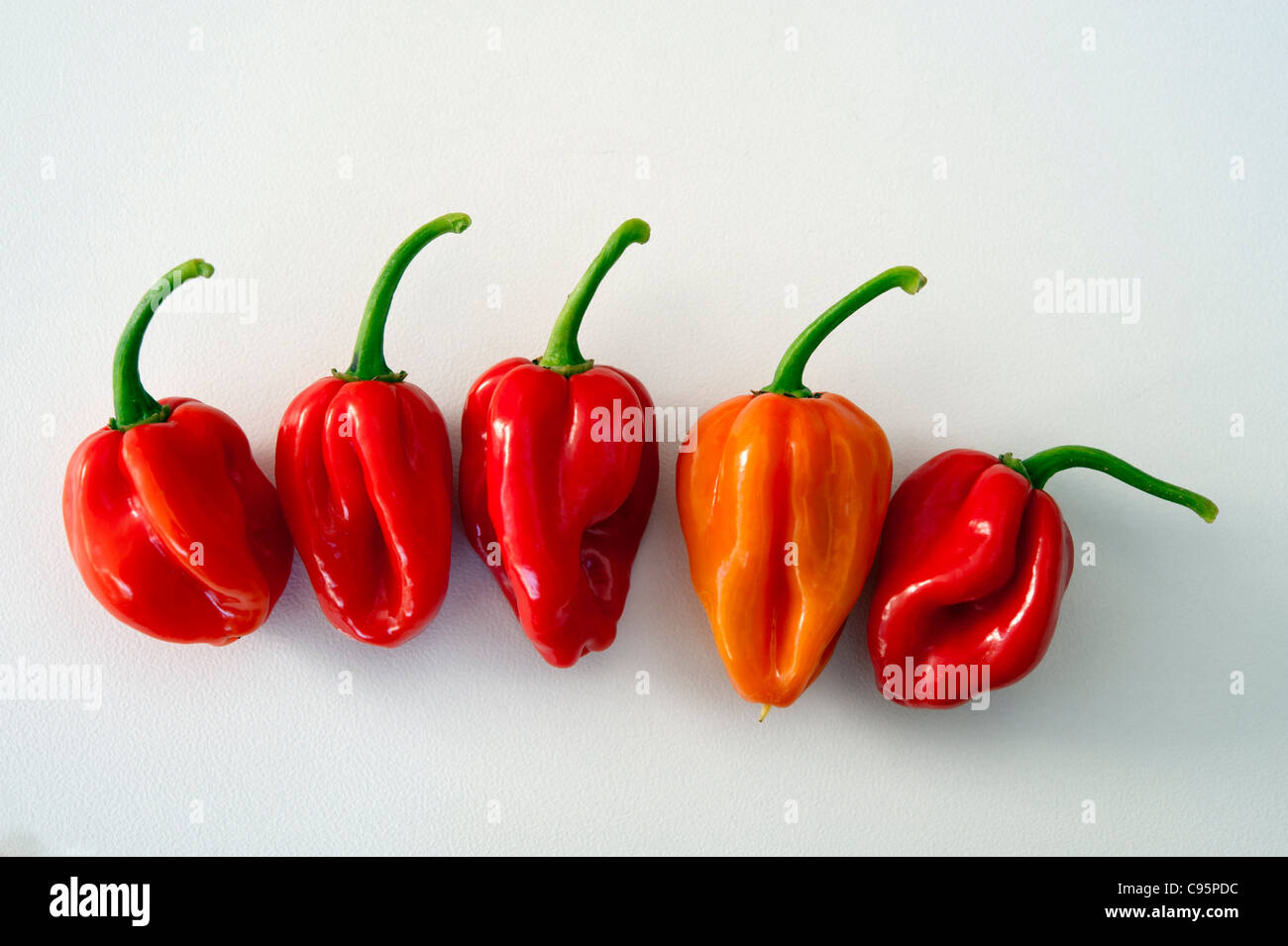 Il peperoncino su uno sfondo bianco. Scotch Bonnet tipo Foto Stock