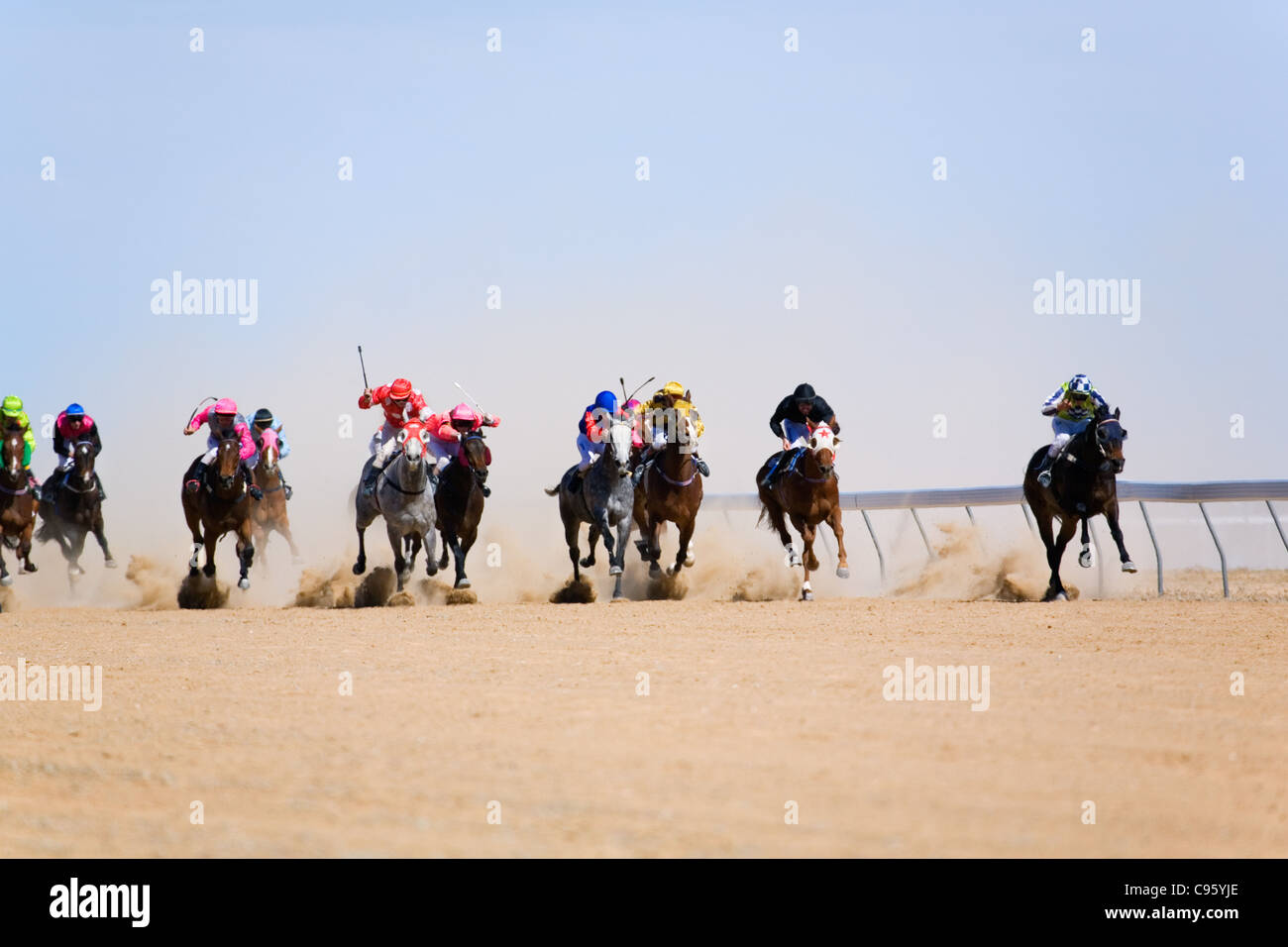 Horse Racing nell'outback australiano, all'annuale Birdsville le gare di coppa. Foto Stock