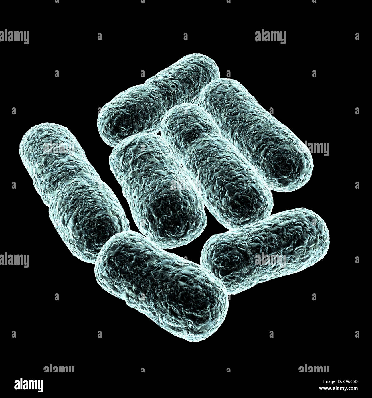 E coli, batteri, artwork Foto Stock