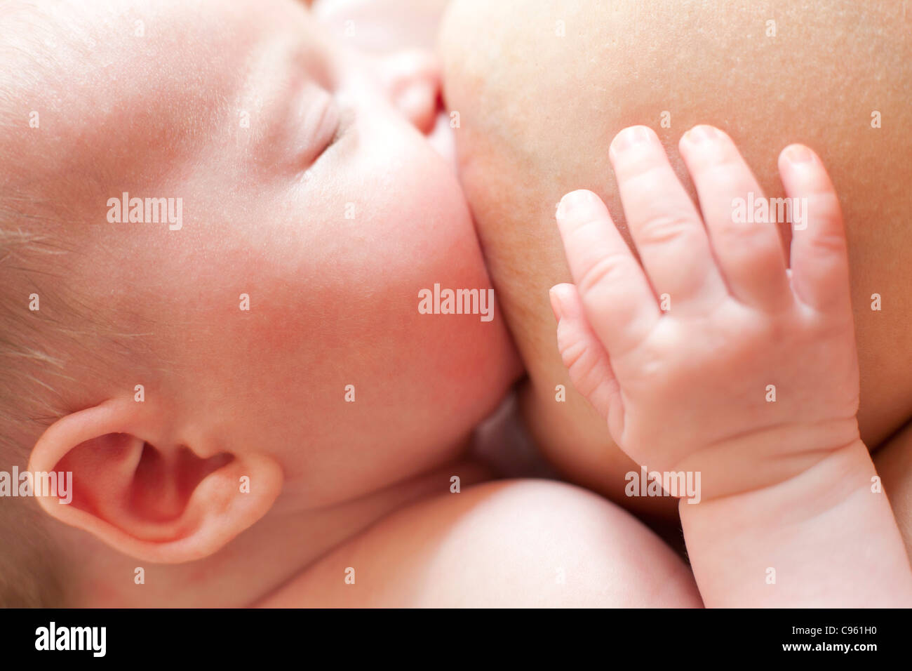 Neonato allattamento al seno. Foto Stock