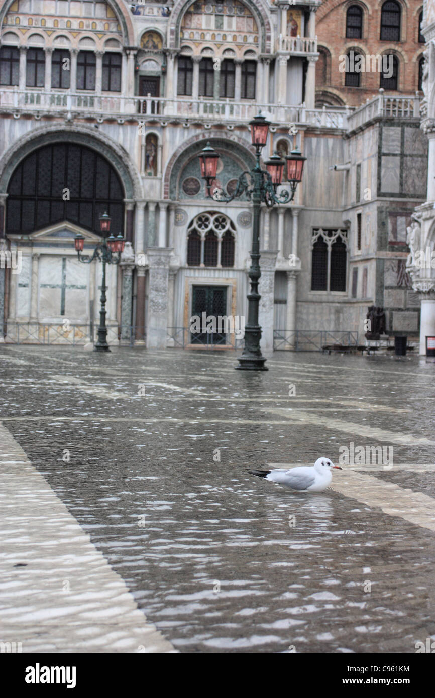 Acqua alta in piazza San Marco Foto Stock