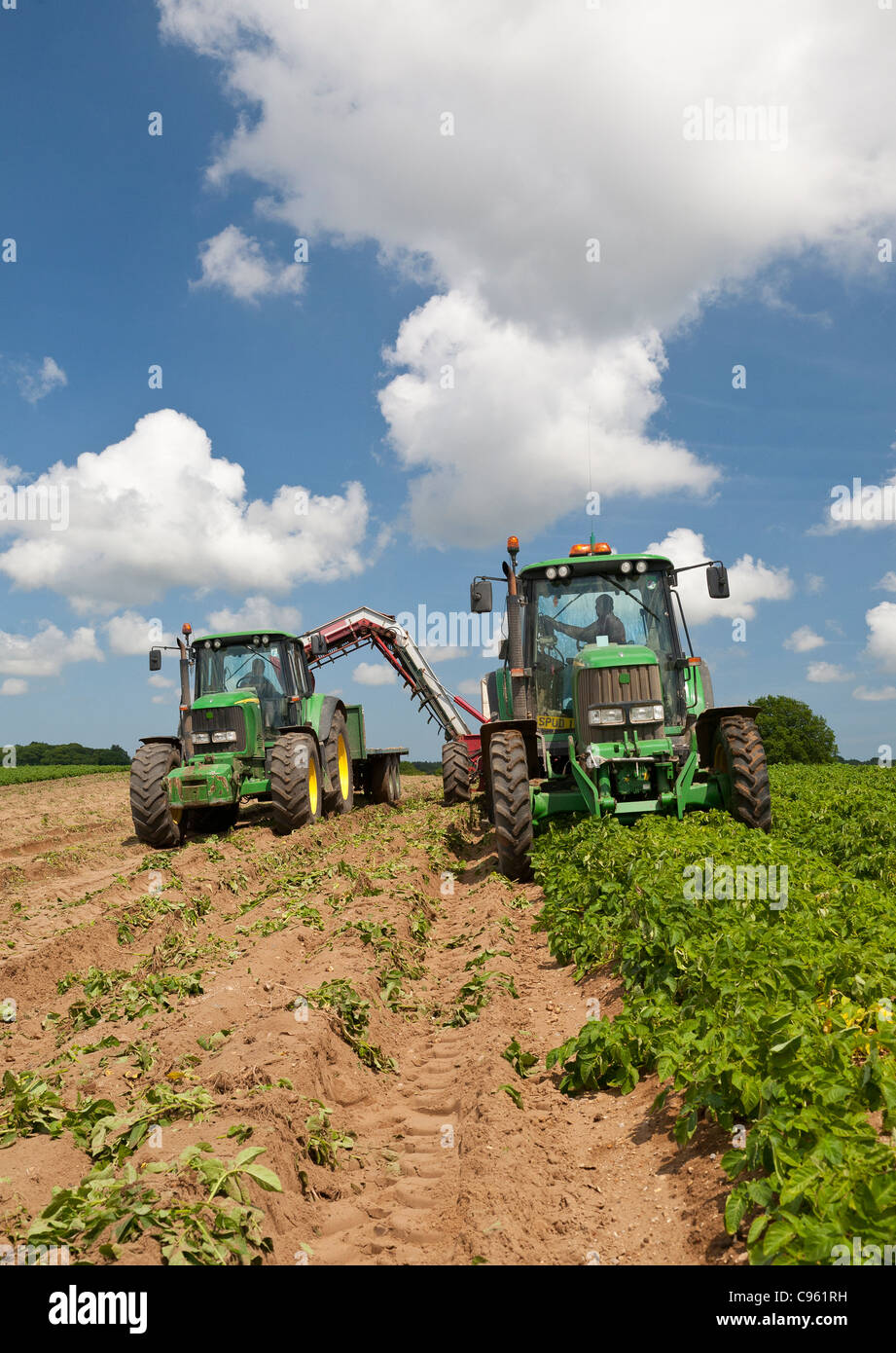 Due agricoltori precoce di raccolta delle patate di primizia utilizzando due trattori, una patata trainato harvester e rimorchio. Foto Stock