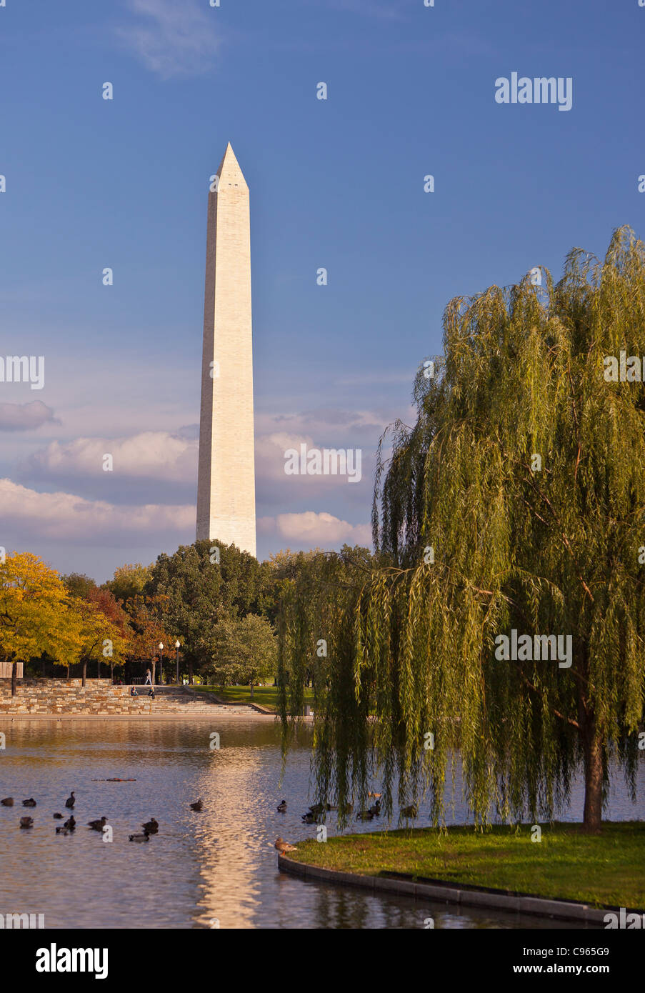 WASHINGTON DC, Stati Uniti d'America - il Monumento a Washington, Costituzione Gardens Foto Stock