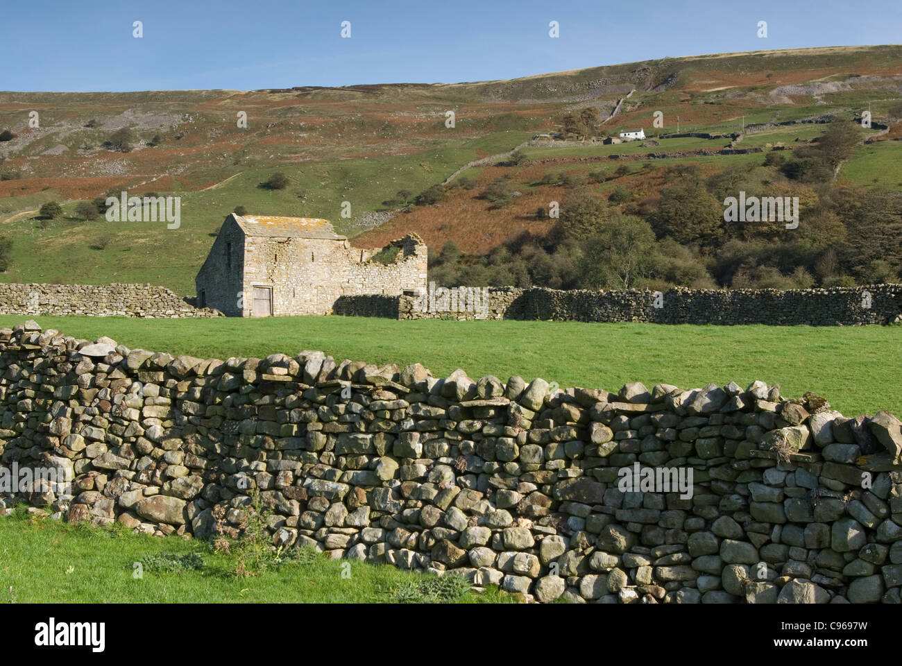 Arkengarthdale barn Foto Stock