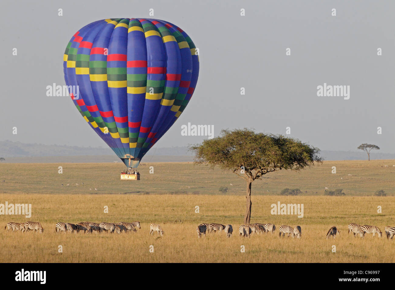 Pallone aerostatico sul Masai Mara Foto Stock