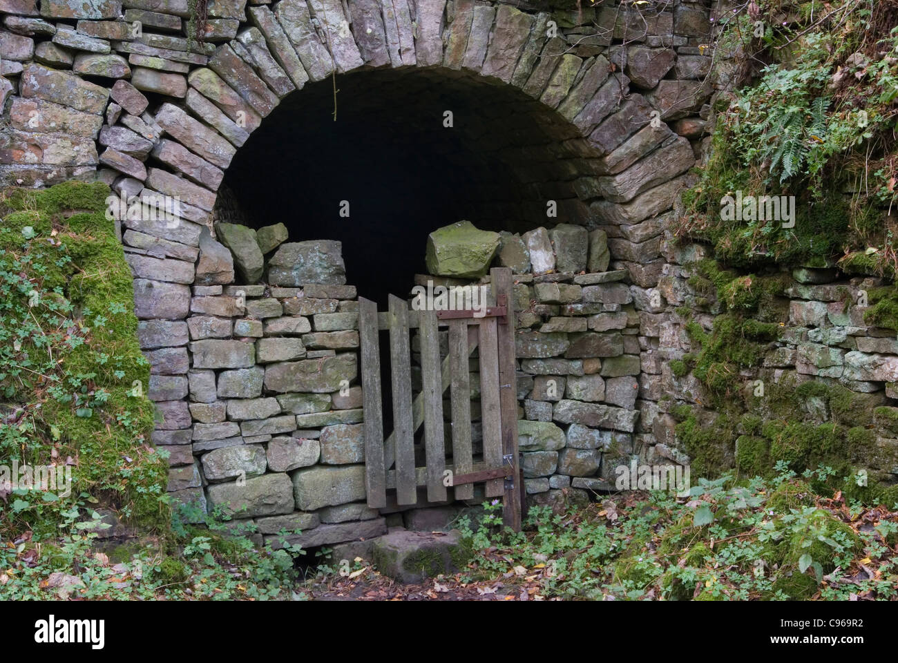 Il vecchio canale sotterraneo di data mining in Arkengarthdale Foto Stock